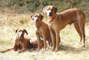 gruppenbild